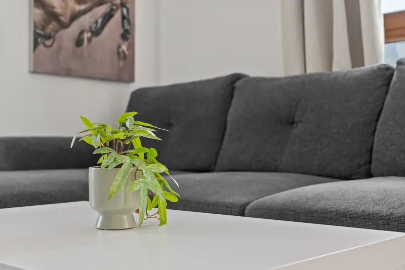 Apartament cu balcon și vedere deschisă, Mihai Bravu, București, fotografia 15