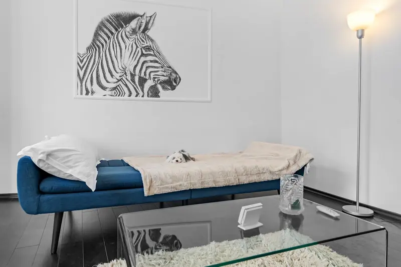 Apartament contemporan cu canapea albastră, Bd. Regina Maria, București, fotografia 6