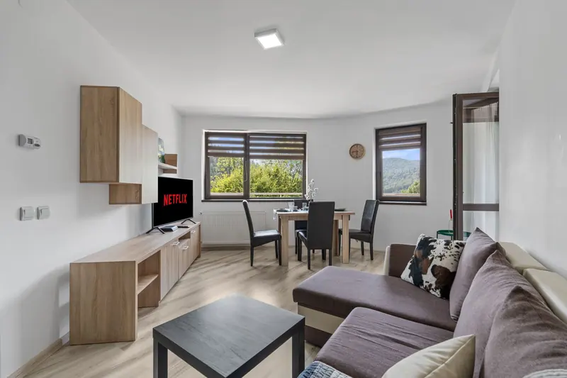 Apartament cu vedere la munte, Sinaia, Prahova, fotografia 4
