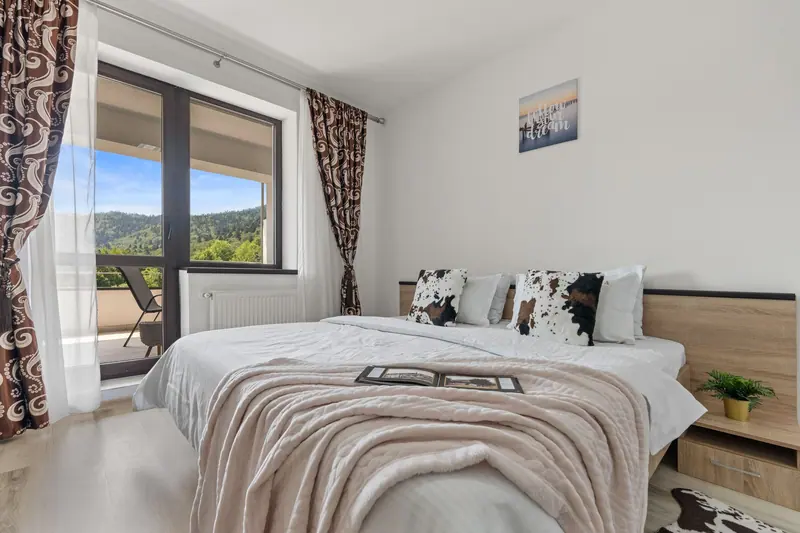 Apartament cu vedere la munte, Sinaia, Prahova, fotografia 6