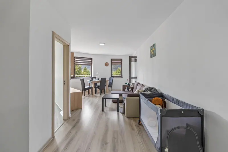 Apartament cu vedere la munte, Sinaia, Prahova, fotografia 12