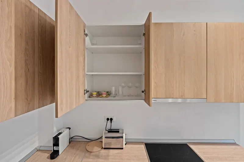 Apartament cu finisaje aurii, Cortina North, fotografia 11