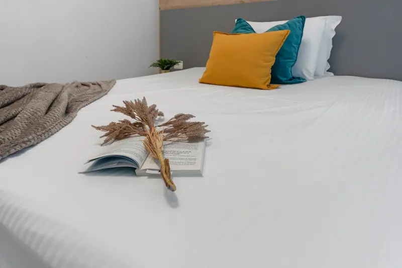 Apartament cu living deschis și terasă, Ansambluri noi, fotografia 22