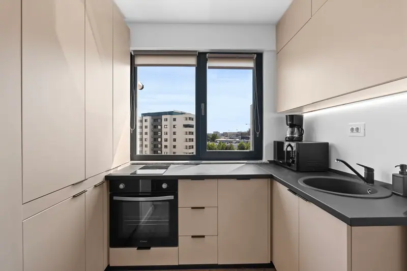 Apartament luminos cu accente de lemn, Ivory, fotografia 3