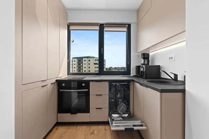 Apartament luminos cu accente de lemn, Ivory, fotografia 4