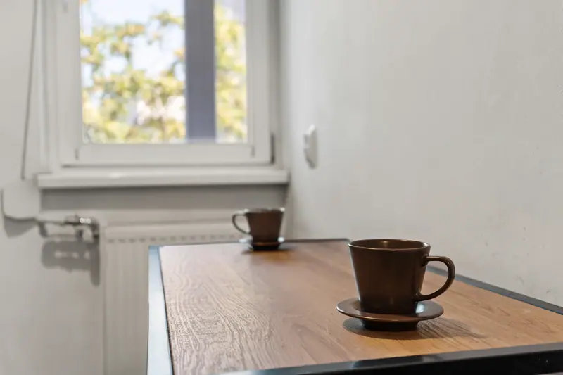 Apartament renovat în centrul Bucureștiului, Bd. I.C. Brătianu, București, fotografia 4