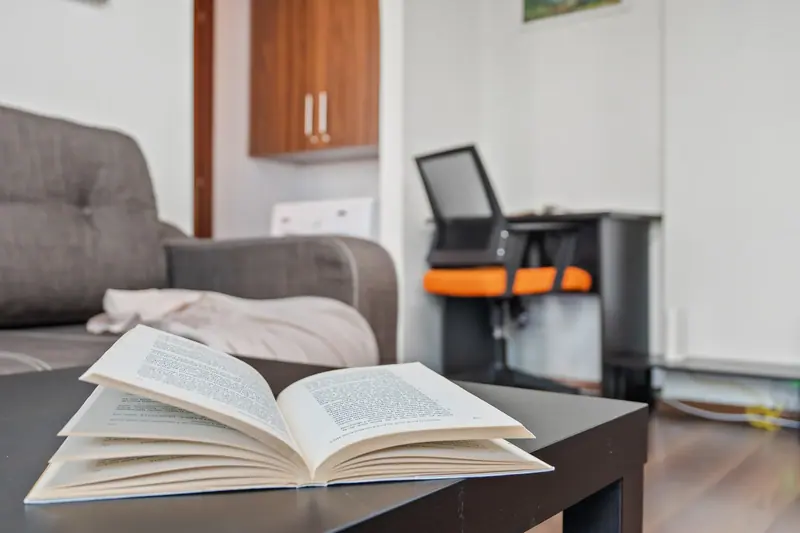 Apartament renovat în centrul Bucureștiului, Bd. I.C. Brătianu, București, fotografia 10