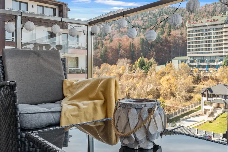 Apartament cu șemineu și terasă, Sinaia, Prahova, fotografia 15