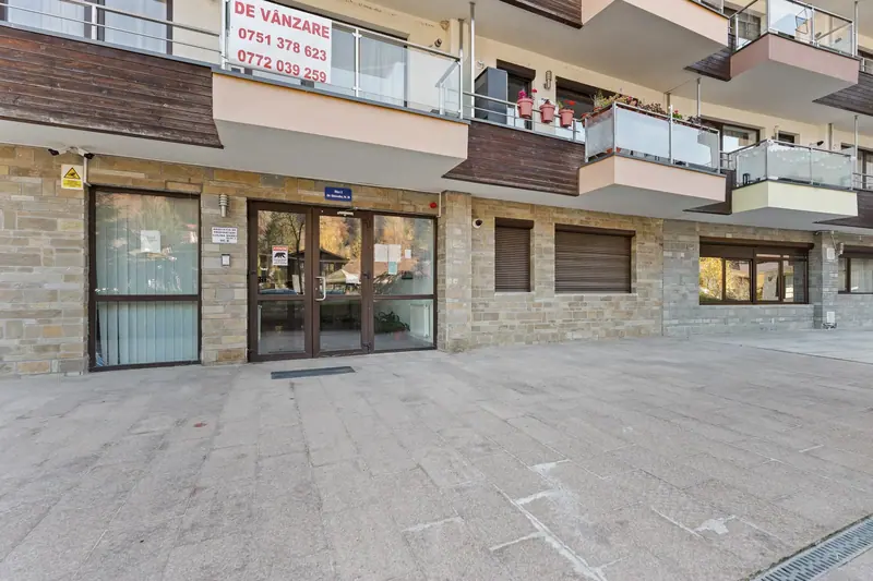Apartament cu șemineu și terasă, Sinaia, Prahova, fotografia 24