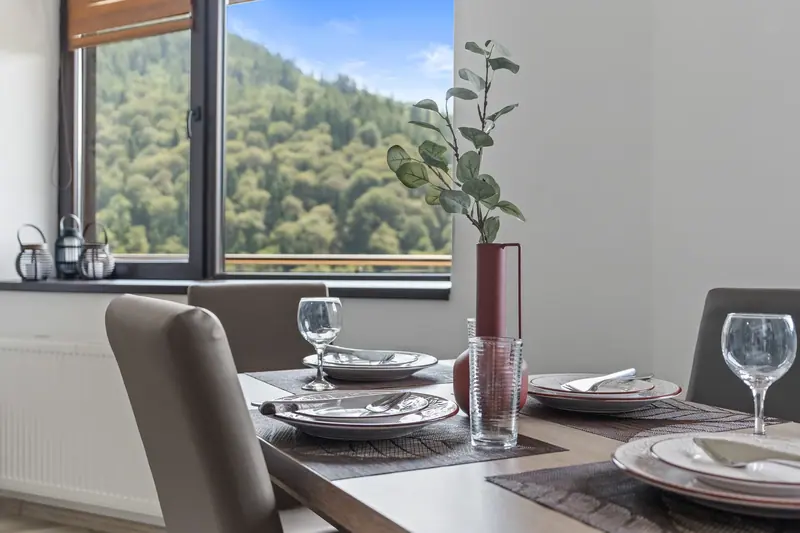 Apartament cu terasă și priveliște spre munte, Sinaia, Prahova, fotografia 1