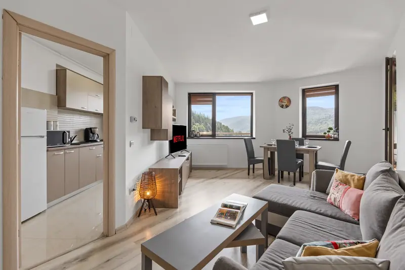 Apartament cu terasă și priveliște spre munte, Sinaia, Prahova, fotografia 3