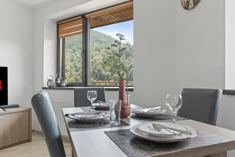 Apartament cu terasă și priveliște spre munte, Sinaia, Prahova, fotografia 5