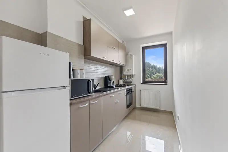 Apartament cu terasă și priveliște spre munte, Sinaia, Prahova, fotografia 7