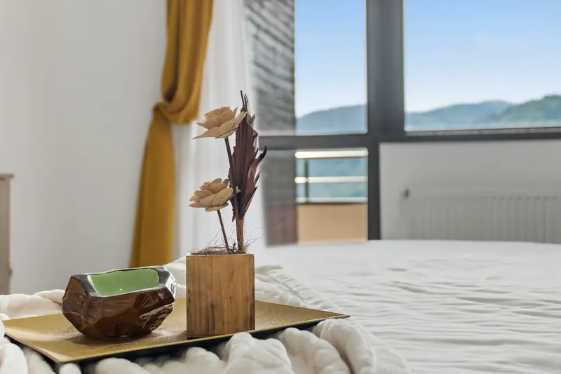 Apartament cu terasă și priveliște spre munte, Sinaia, Prahova, fotografia 17
