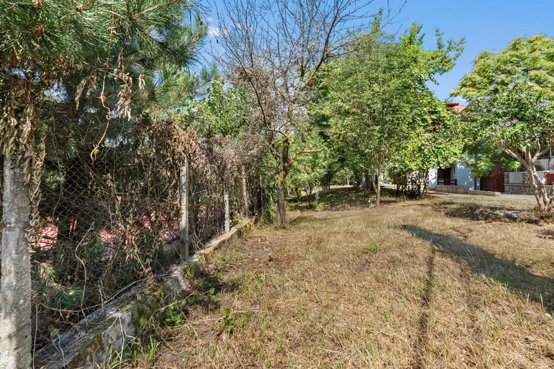 Casă cu grădină și pomi, Pitești, Argeș, fotografia 30